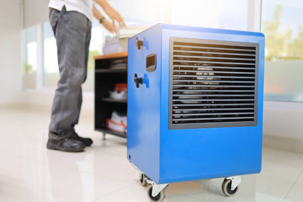 Best Residential Mold Inspection & Testing  in Jones Valley, CA